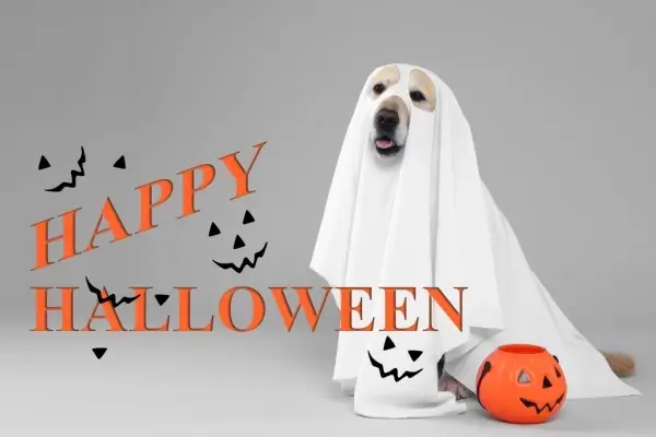 Happy Halloween from The Penman Group, Inc.